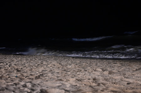landscape of beach in the night, natural backgroundの写真素材