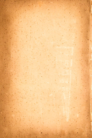 old vintage spot paper texture background, page for designの写真素材