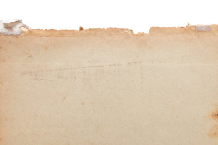 old vintage paper texture background, page for designの写真素材