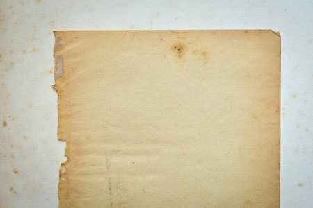old vintage paper texture background, page for designの写真素材