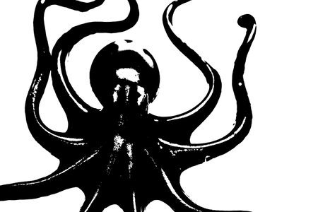 black silhouette of octopus isolated on white background, invertebrate animalの写真素材