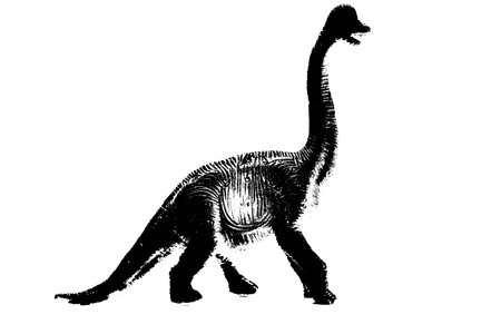 black dinosaur silhouette isolated on white background, model of dinosaurs toysの写真素材