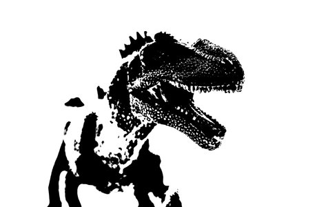 black dinosaur silhouette isolated on white background, model of giganotosaurus toyの写真素材