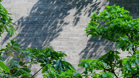 green tree in the garden with staircase, exterior designの写真素材