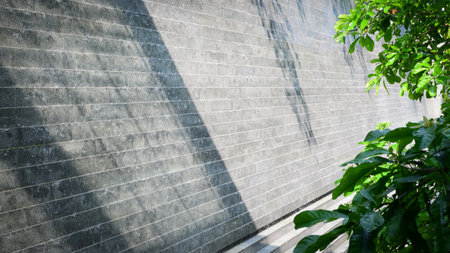 green tree in the garden with staircase, exterior designの写真素材