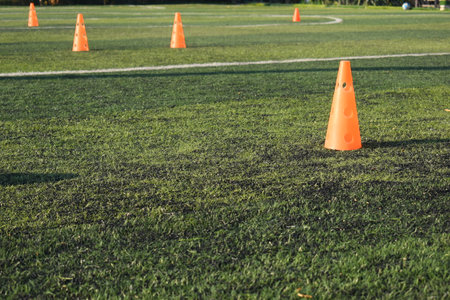soccer equipment sport for training team on artificial grass