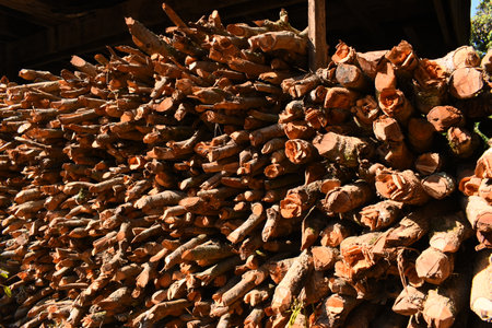 pile of wood log in the country home with sunlight, firewood for fuelの写真素材