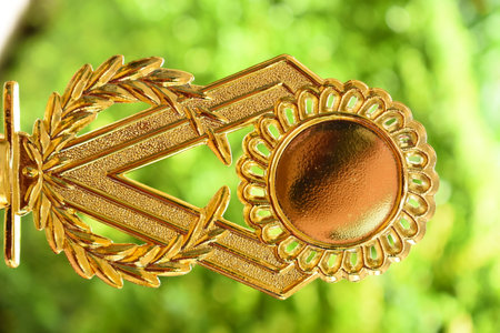 beautiful golden trophy of football contest on green tree background