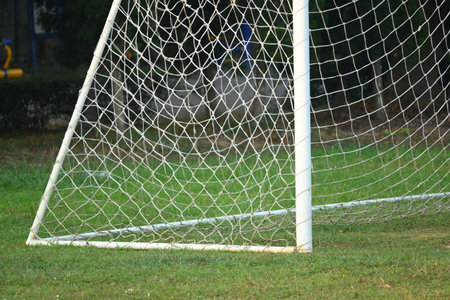 goal of football on green grass background, object of sport