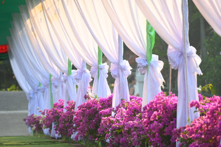 white curtain decorate for party in the gardenの写真素材