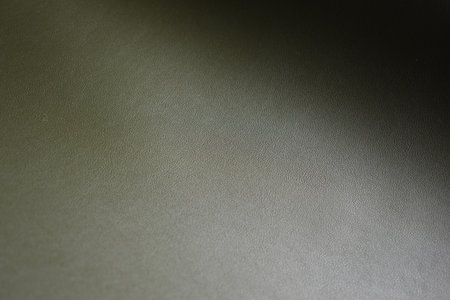 shiny dark green leather texture background for design
