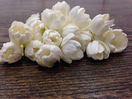 Pile of Jasmineの素材