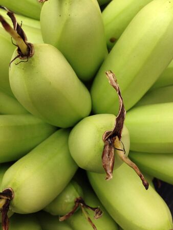 Bananaの素材