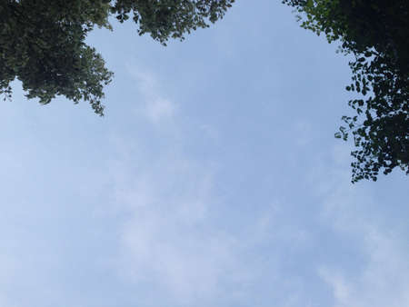 Blue skyの素材