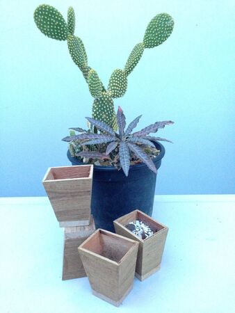 Wooden tree potの素材