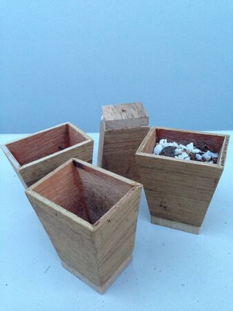 Wooden tree potの素材