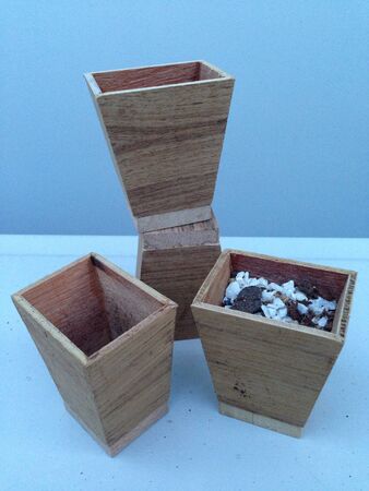 Wooden tree potの素材