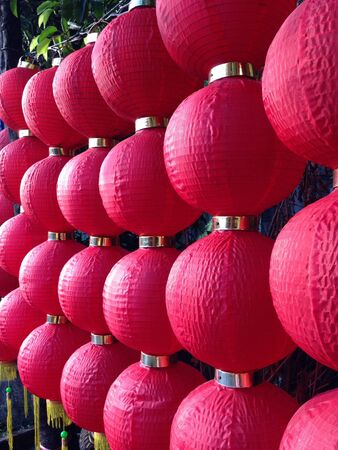 Chinese lantern の素材