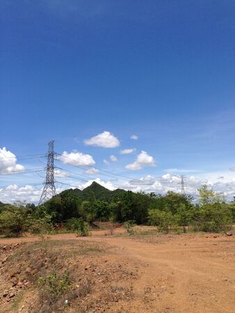 Electricity pole in the forestの素材