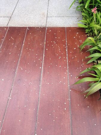 Floor decor in the gardenの素材