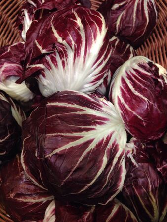 Red cabbageの素材