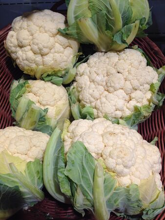 Cauliflowerの素材