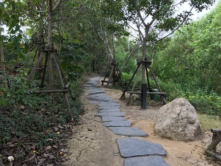 Stone walkwayの素材