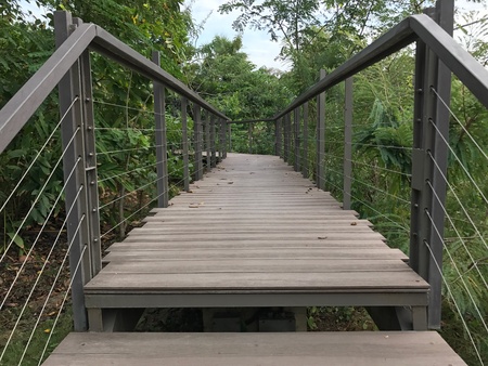 Wooden walk pathの素材