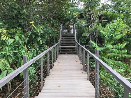 Wooden walk pathの素材