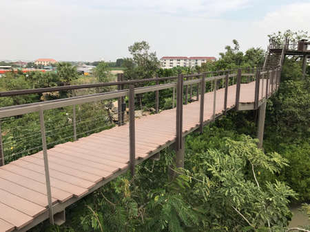 Wooden walk pathの素材