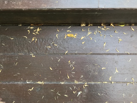 Wooden floor