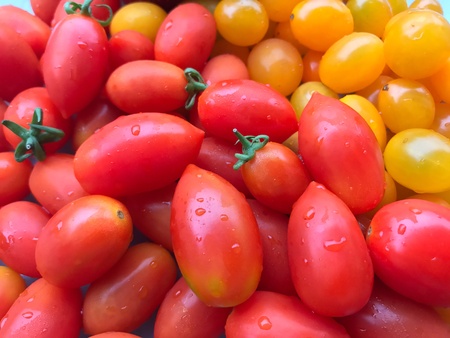 Cherry tomatoの素材