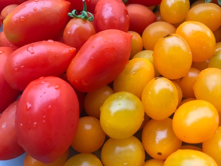 Cherry tomatoesの素材