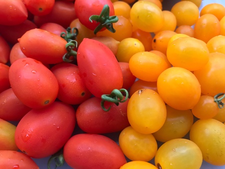 Tomatoesの素材
