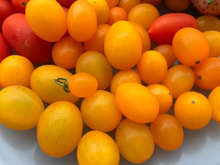 Cherry tomatoesの素材
