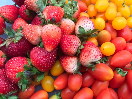 Fruit and vegetablesの素材