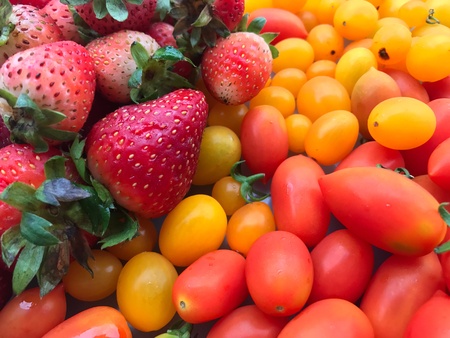 Fresh fruit and vegetablesの素材