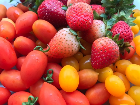 Strawberry and tomatoの素材