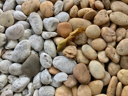 Pebble stone textureの素材