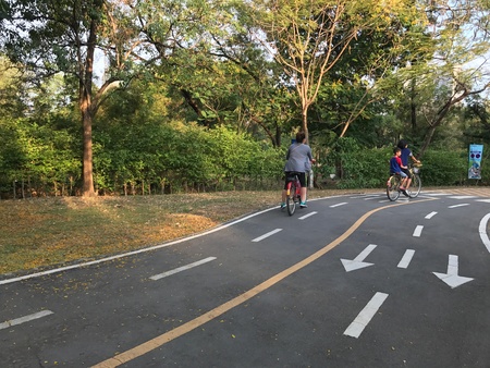 Cycling in the parkの素材