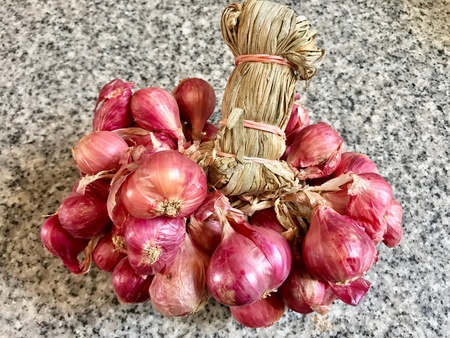 Red onionの素材