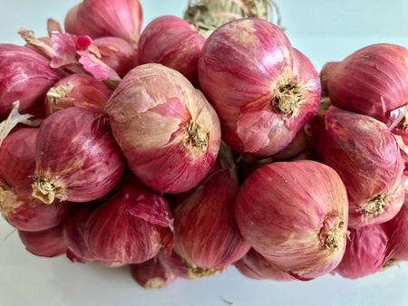 Red onion backgroundの素材