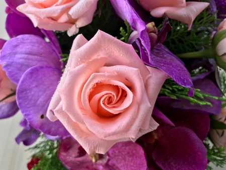 Flower backgroundの素材