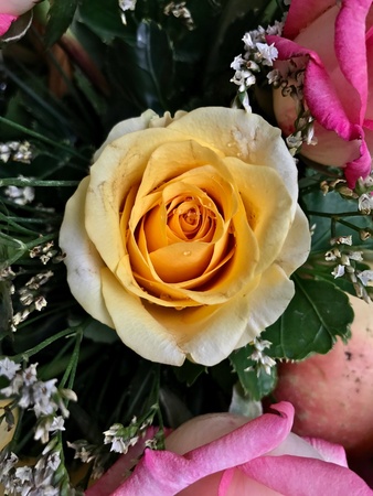 Roses bouquetの素材
