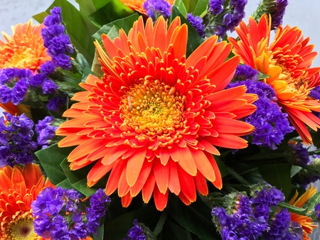 Orange flower bouquetの素材