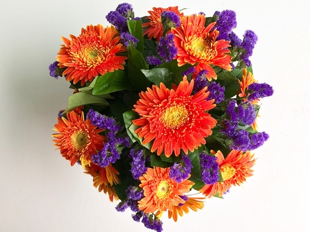 Orange gerbera flower bouquetの素材