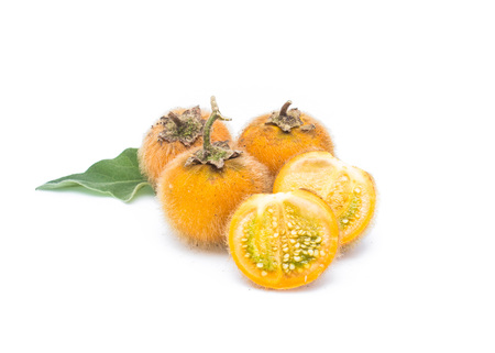 Solanum stramonifolium Jacq,Solanaceae.On a white backgroundの写真素材