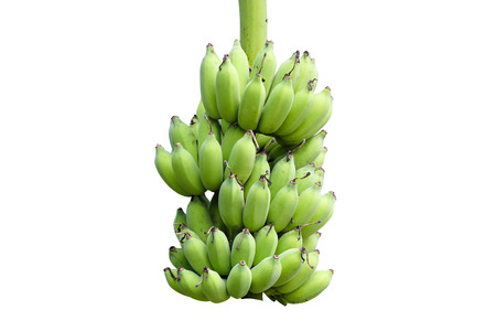 isolated banana and stem on white backgroundの写真素材