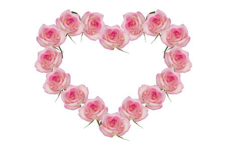 Rose pink flowers of the heartの写真素材