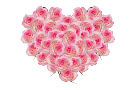 Rose pink flowers of the heartの写真素材